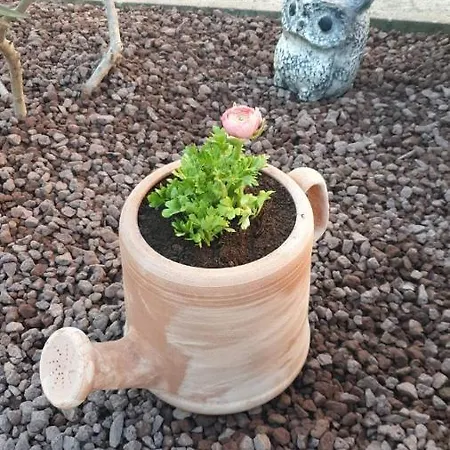 Apartmán Vila Medves *