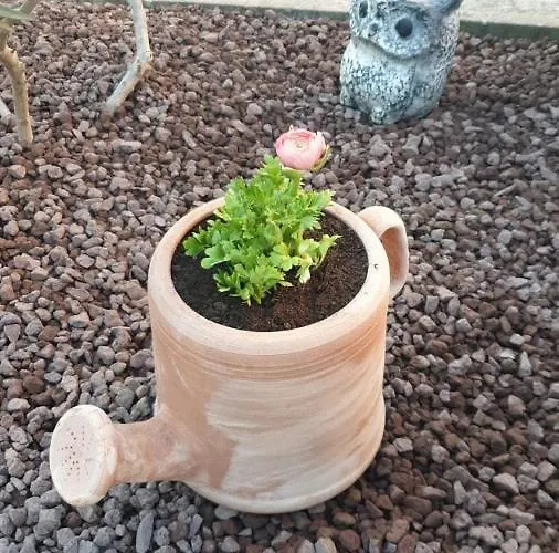 公寓 Vila Medves *