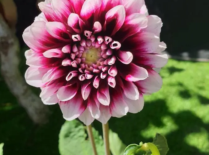 公寓 Vila Medves Škocjan